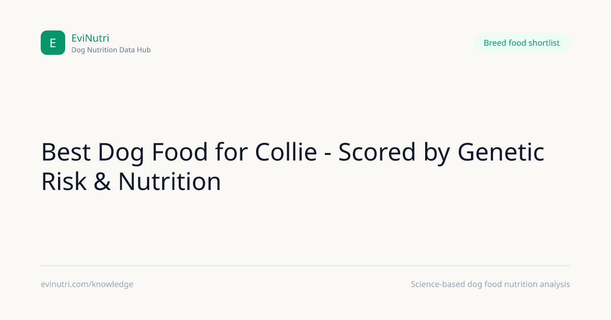Best Dog Food for Collie - Scored by Genetic Risk & Nutrition | EviNutri